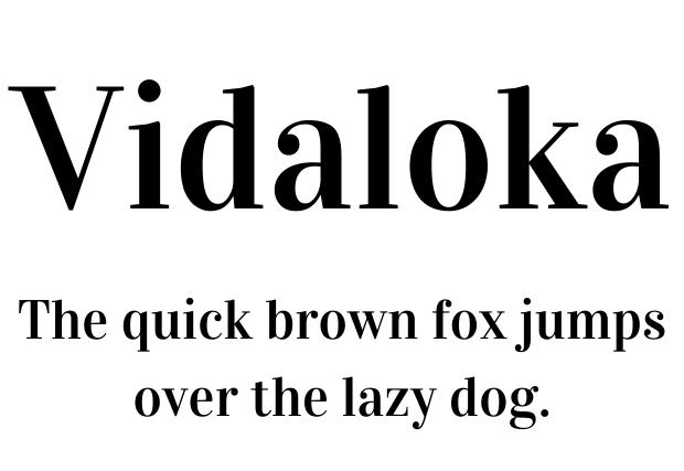 Vidaloka canva font, Canva serif font