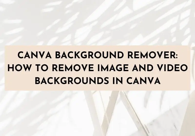 Canva Background Remover: How to Remove Image and Video Backgrounds in Canva and Canva Mobile App